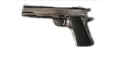 XY1911 Black mamba